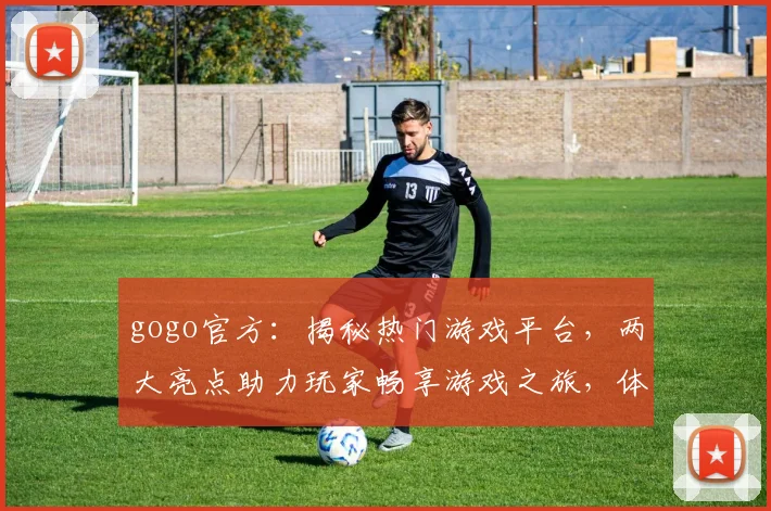 gogo官方：揭秘热门游戏平台，两大亮点助力玩家畅享游戏之旅，体验极致乐趣