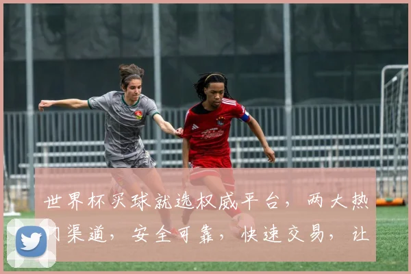 世界杯买球就选权威平台，两大热门渠道，安全可靠，快速交易，让您畅享赛事乐趣