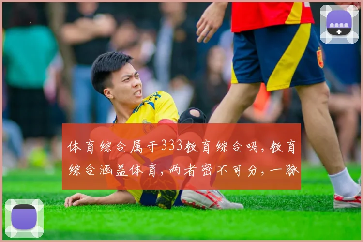 体育综合属于333教育综合吗,教育综合涵盖体育,两者密不可分,一脉相承, comma